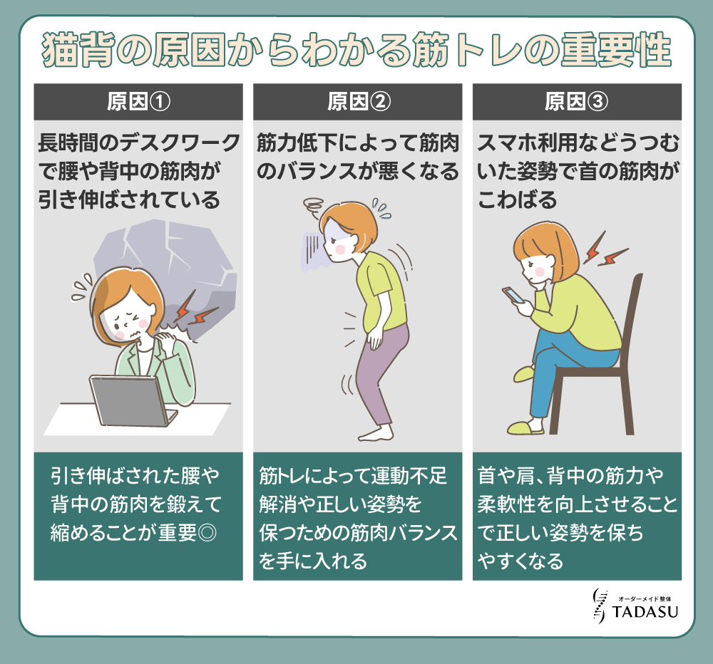 猫背の原因からわかる筋トレの重要性