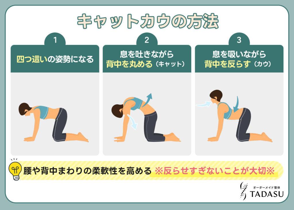 キャットカウ（腰を反らせない範囲）