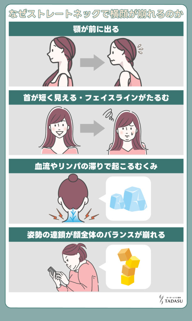 なぜストレートネックで横顔が崩れるのか